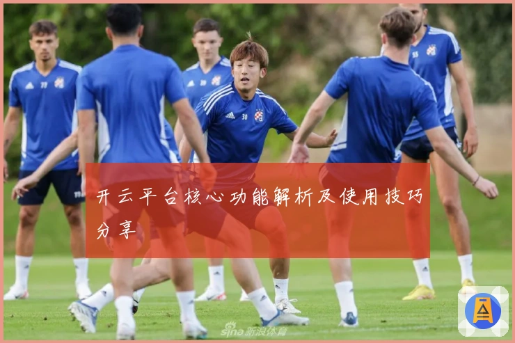 开云平台核心功能解析及使用技巧分享